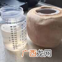 纯正的椰子奶做法？原汁椰奶冻的做法步骤