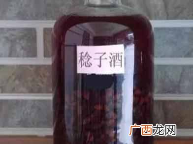 捻子酒的泡制方法？稔子酒两种发酵方法