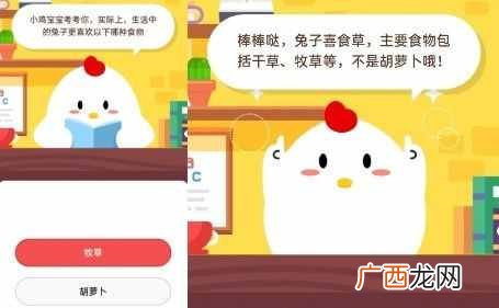 实际上生活中的兔子更喜欢以下哪种食物 蚂蚁庄园小课堂2020年6月5日答
