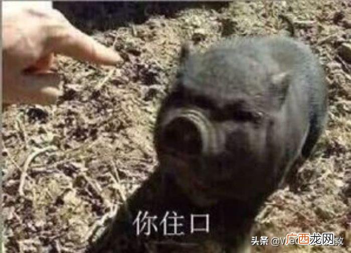 男生喜欢频繁说分手，男朋友经常和我提分手