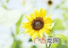 事业单位面试技巧和注意事项