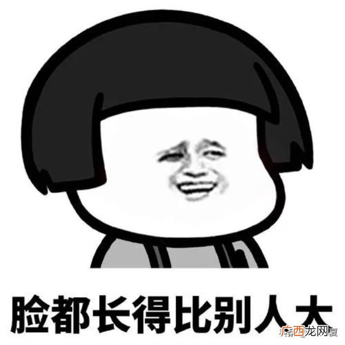 向女生表白的段子，舍友今天大胆向一喜欢的女孩表白
