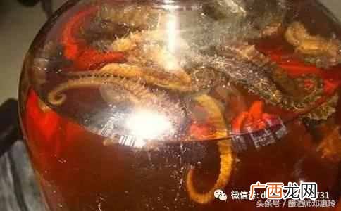 海马酒的制作方法？海马泡酒配方大全