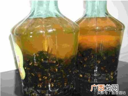 如何自制虎头蜂泡酒？虎头蜂酒制作方法