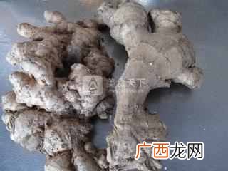如何做红糖姜枣膏？？红糖姜枣膏的做法