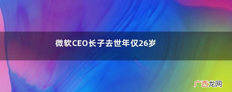 微软CEO长子去世年仅26岁微软是做什么的