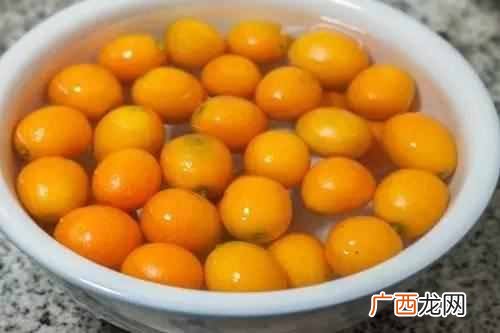 怎样自制金桔蜂蜜酸牛奶？？秋季止咳平喘自制秘制金桔