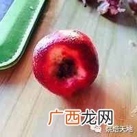 水果罐头怎么制作?1分钟教你自制各种水果罐头