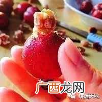 水果罐头怎么制作?1分钟教你自制各种水果罐头
