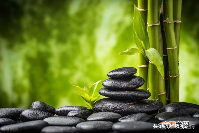 是是非非也就无所谓；放下了 无所谓的图片
