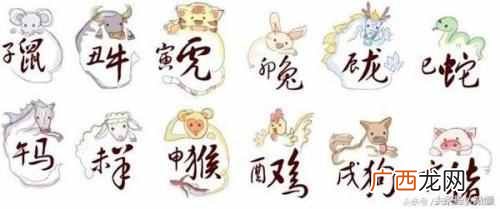十二生肖中风肖是哪几肖？十二生肖是如何划分的？