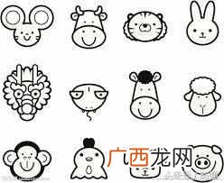 十二生肖中风肖是哪几肖？十二生肖是如何划分的？