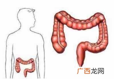 吃桃子有什么好处？哪些人不呢吃桃子？