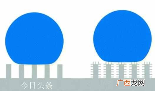 荷叶为什么不沾水？水上漂又是怎么回事？