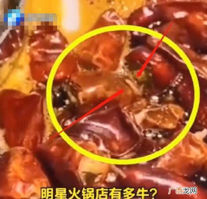 陈赫火锅店,陈赫火锅店遭网友爆料吃出蠕动蛆虫