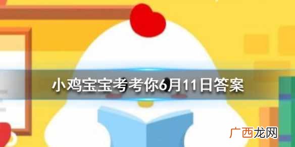 通常来说给手机充电以下哪种充电方式更合适 蚂蚁庄园6月11日今日答案