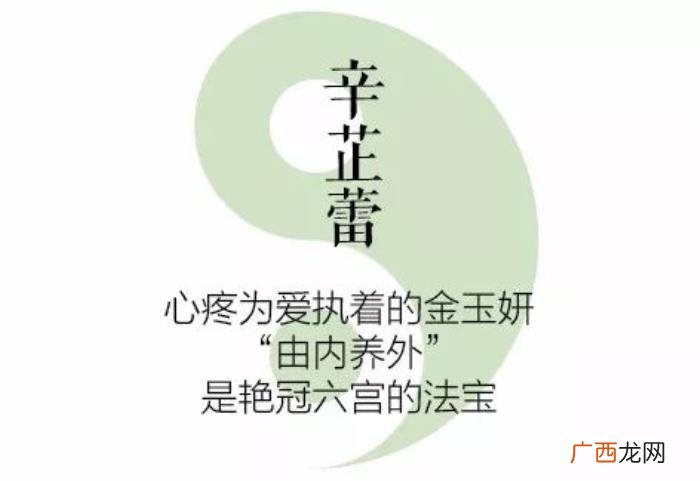 辛芷蕾李纯，辛芷蕾李纯胡可的美人心计要你好看