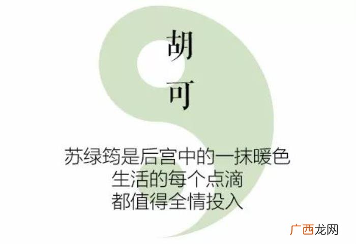 辛芷蕾李纯，辛芷蕾李纯胡可的美人心计要你好看