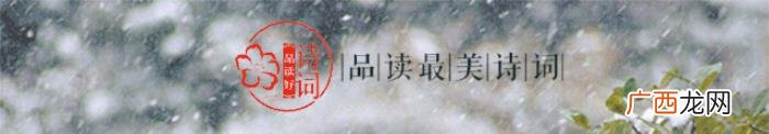 十首冬天菊花的诗词 有关菊花的诗句