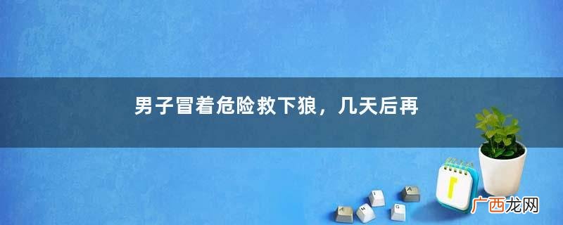 男子冒着危险救下狼，几天后再进山遇袭，一群狼朝自己奔袭过来