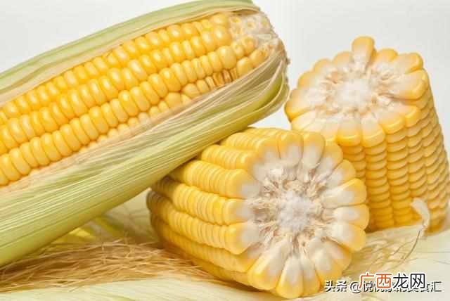 新鲜玉米棒的营养吃法及冰冻保存方法？