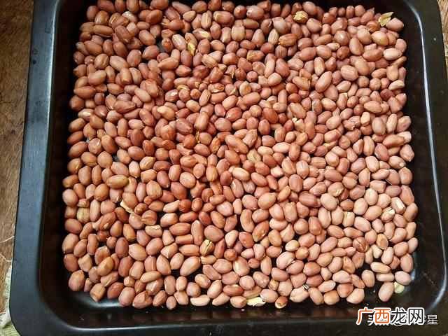 怎样在家制作好喝的花生牛奶??香浓醇厚好滋味,健康无添加