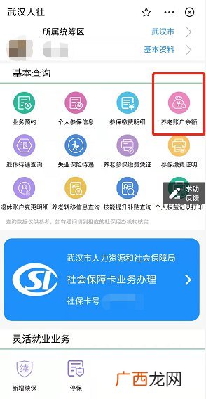 武汉养老账户余额查询平台及流程