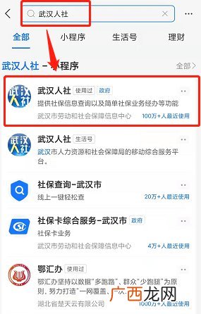 武汉养老账户余额查询平台及流程