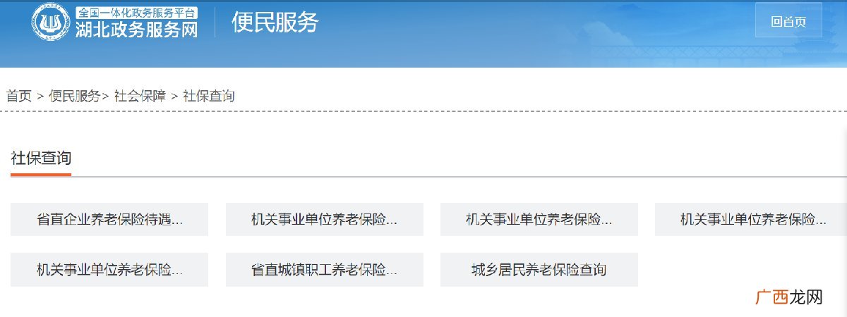 武汉城乡居民养老保险查询指南