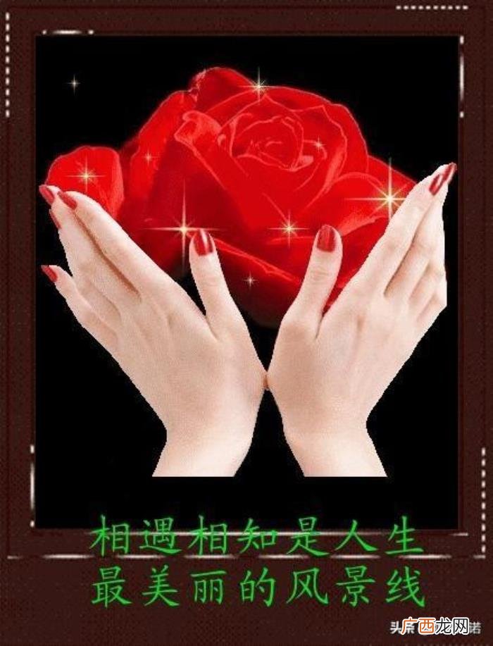 藏头顺口溜丨珍惜友情 珍惜的图片