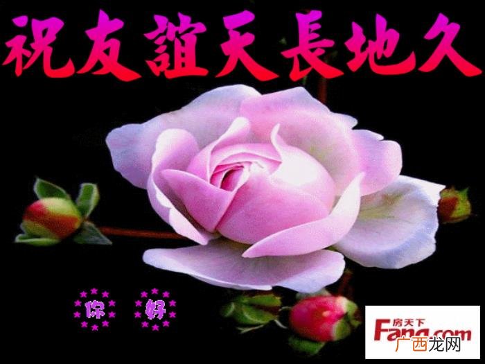 藏头顺口溜丨珍惜友情 珍惜的图片