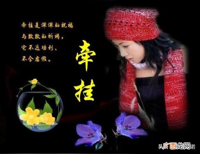 藏头顺口溜丨珍惜友情 珍惜的图片