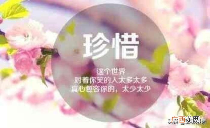 藏头顺口溜丨珍惜友情 珍惜的图片