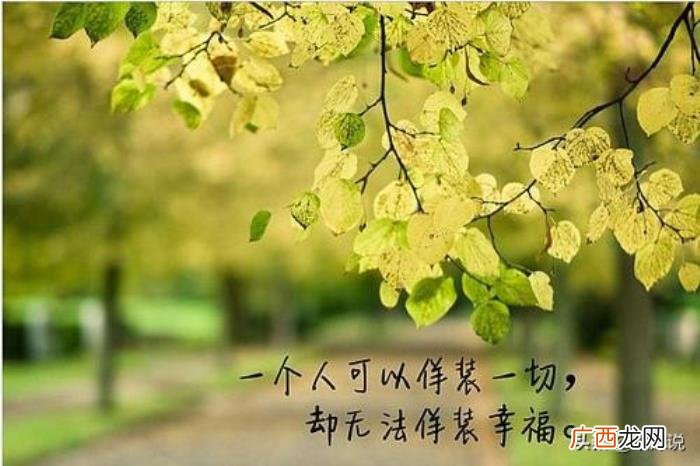 说了狠话如何挽回，狠话说尽的感情还能挽回吗