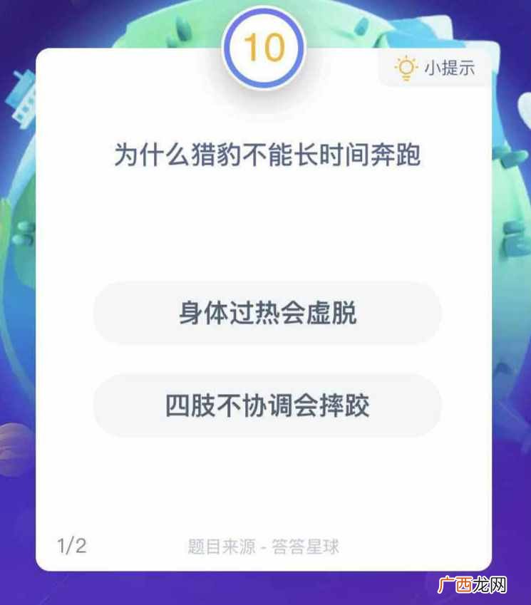 为什么猎豹不能长时间奔跑？身体过热会虚脱还是四肢不协调会摔跤