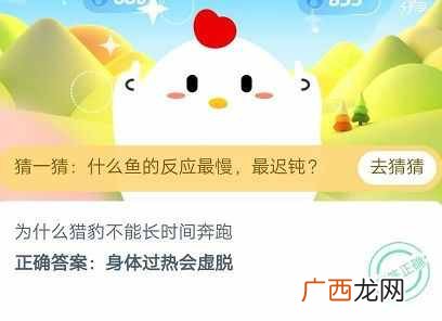 为什么猎豹不能长时间奔跑?蚂蚁庄园6月12日答案分享