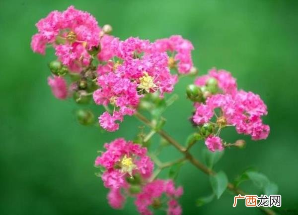 爱一个人却又不想见她，爱一个人