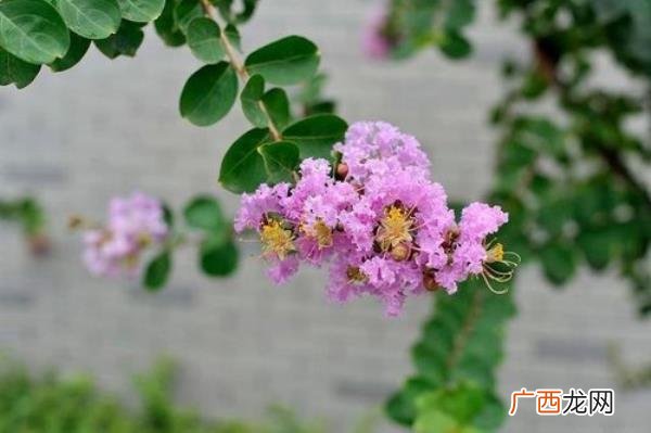 爱一个人却又不想见她，爱一个人