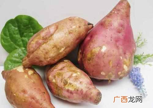 紫薯和红薯哪个更适合减肥适合吃？紫薯红薯之间的PK谁会胜出？