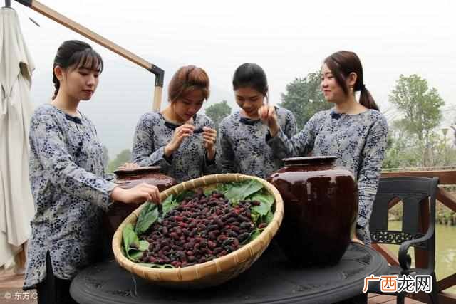 如何制作桑葚酒？？农村的桑葚吃不完，如何制作桑葚酒？