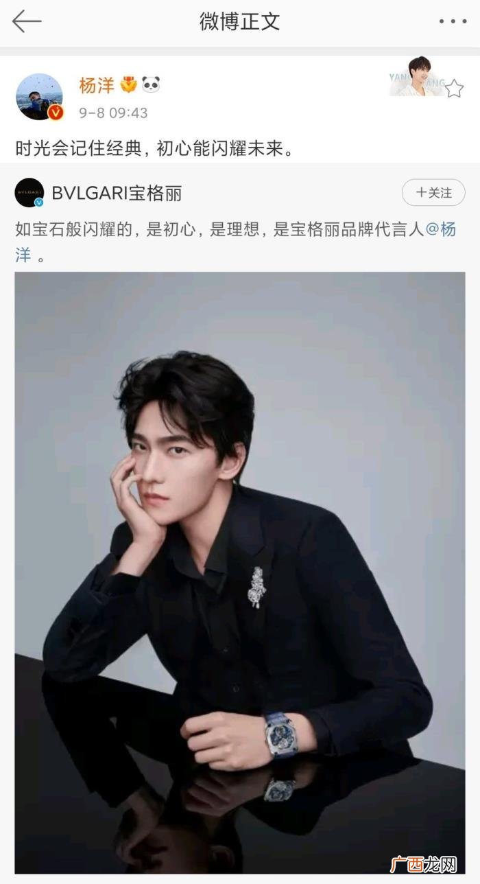 宝格丽杨洋,恭喜杨洋喜提新代言#宝格丽品牌代言人#