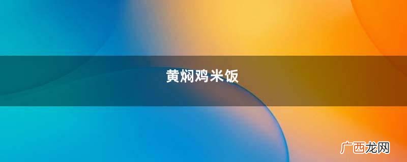 黄焖鸡米饭