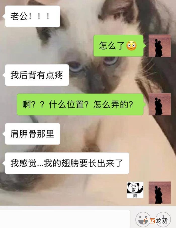 撩男朋友的情话套路，有哪些撩男朋友的情话