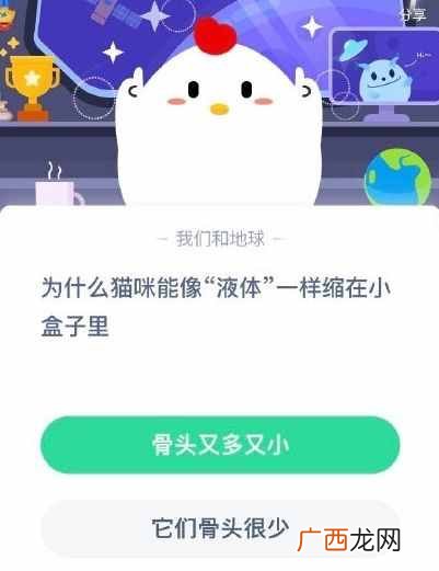 猫咪为什么能像液体一样缩在小盒子里？蚂蚁庄园6月13日答题答案