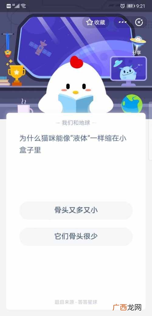 为什么猫咪能像液体一样缩在小盒子里？蚂蚁庄园6月13日今日答案