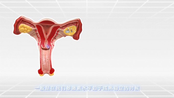 HPV 侵 害 宫 颈 全 过 程 曝 光 | 实物模拟