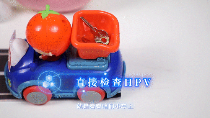 HPV 侵 害 宫 颈 全 过 程 曝 光 | 实物模拟