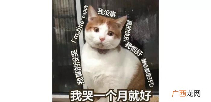 你说所有男人都会出轨吗 每一个男人都会出轨吗