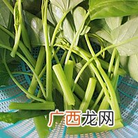 炝炒空心菜