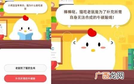 猫为什么要吃老鼠 2020年6月15日蚂蚁庄园小课堂今日答案
